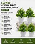 Ecovibe Artificial Plants with Minimalist Pots (Pack of 4)