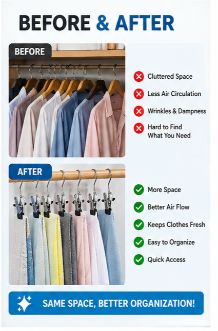 Stainless Steel Hangers with Clips (10 Clips)